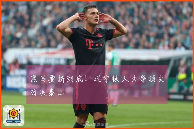 黑马要拼到底！辽宁铁人力争顶尖对决泰山